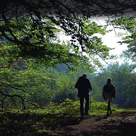 Διαμέρισμα Rurales La Pikurutza *