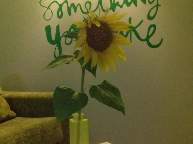 Rurales La Pikurutza Appartamento