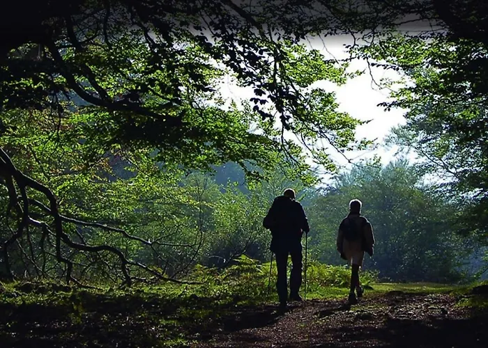 Appartamento Rurales La Pikurutza *